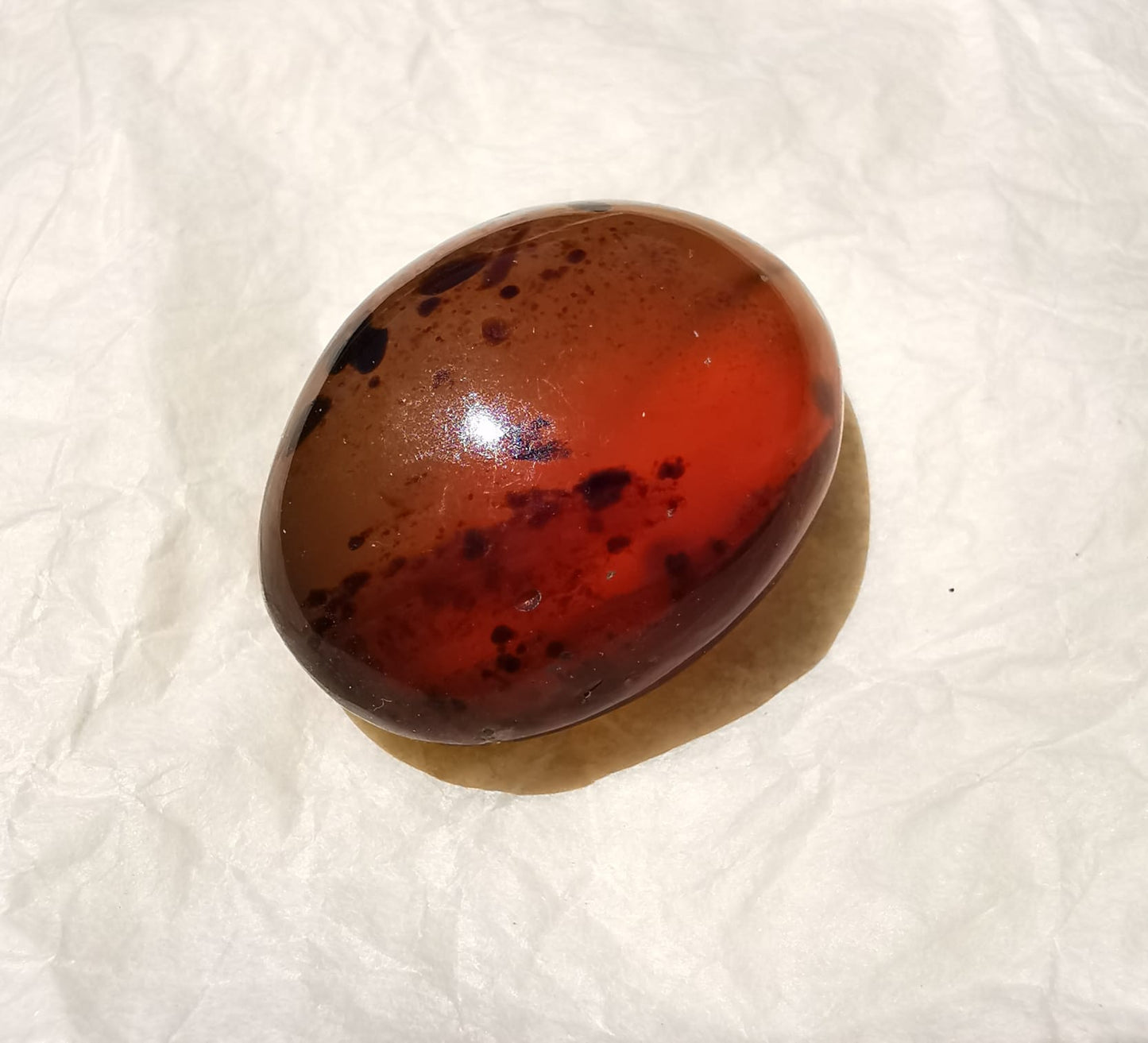 Ambra Indonesiana taglio ovale Cabochon 15,75 ct