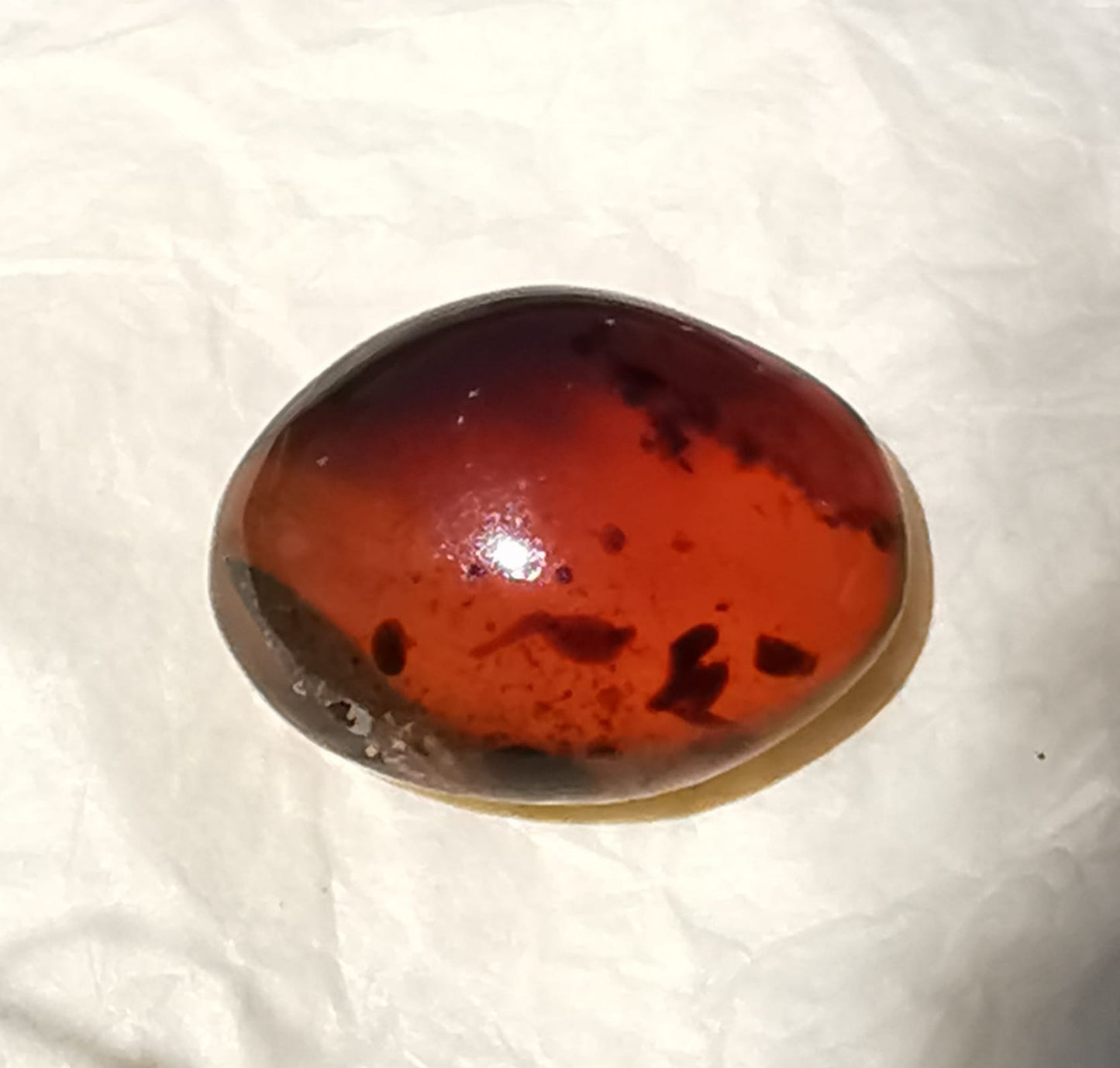 Ambra Indonesiana taglio ovale Cabochon 15,75 ct