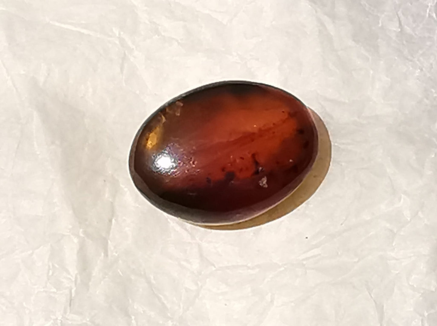 Ambra Indonesiana taglio ovale Cabochon 15,75 ct